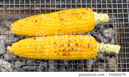 魷魚燒烤（木炭烤，烤烤，七環，一人，家庭飲用，燒烤，燒烤，烤肉，牛肉 54066076