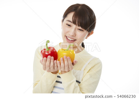 家庭主婦 54066230