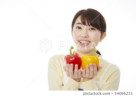 家庭主婦 54066231