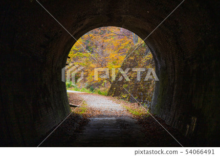 秋臼井通Apt公路隧道 54066491