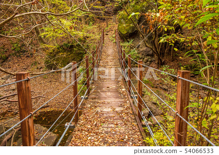 Usui Pass in Autumn Colored Leaves of Maho no Taki Nature Park Usui Pass in Autumn Colored Leaves of Maho no Taki Nature Park 54066533