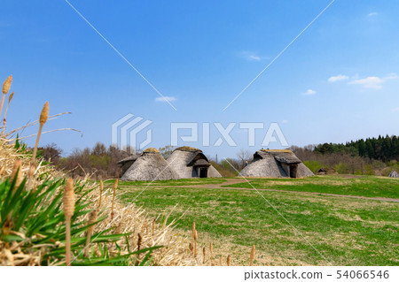 [Sannai Maruyama Site, Aomori Prefecture] Sannai Maruyama Site Spring in a pit dwelling 54066546