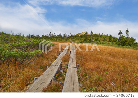 秋天Oze Oyama Sawadashiro北到天文台方向視圖 54066712