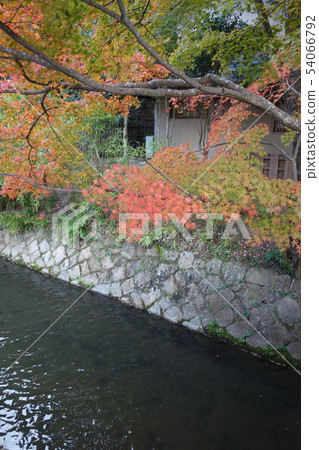 哲學的方式 54066792