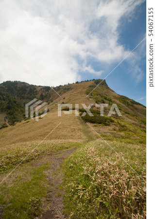 Sunny Kafudake 54067155