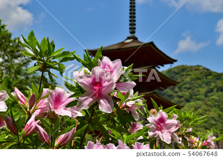 Hase Temple Hase Temple 54067648