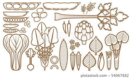 蔬菜_變種 蔬菜_變種 54067882