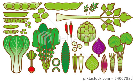 蔬菜_變種 蔬菜_變種 54067883