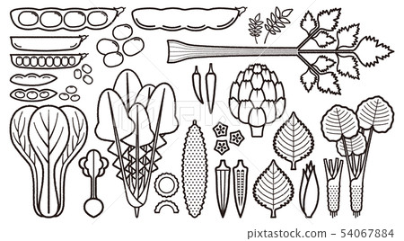 蔬菜_變種 54067884