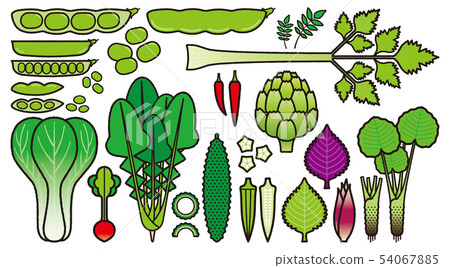 蔬菜_變種 54067885