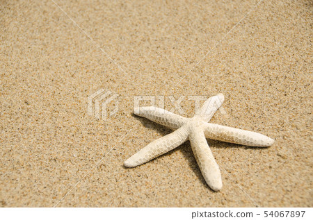 Sand and starfish 54067897