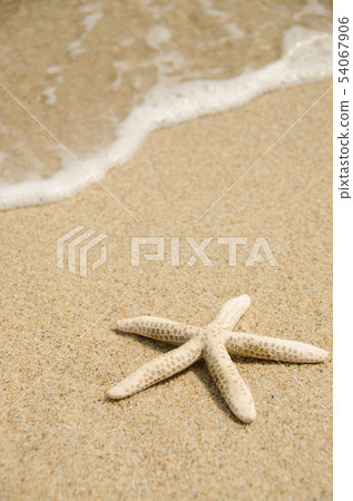 Sea and starfish 54067906