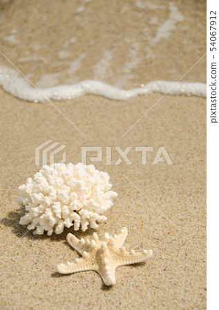 Sea and starfish Sea and starfish 54067912