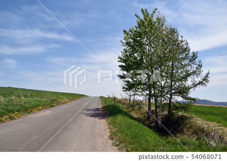 在北海道的道路 在北海道的道路 54068071