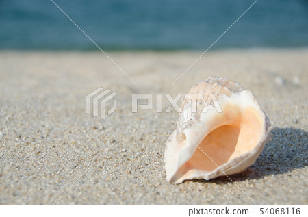 Sea and Sora 54068116