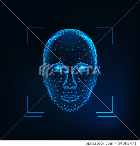 Biometric person identification, facial recognition concept. Futuristic low polygonal human face 54068471