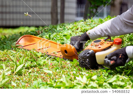 Gardener pruning work Gardener pruning work 54068832