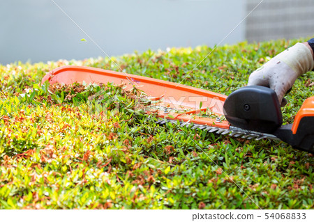 Gardener pruning work Gardener pruning work 54068833