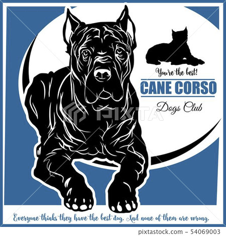 Cane Corso - vector illustration for t-shirt, logo and template badges Cane Corso - vector illustration for t-shirt, logo and template badges 54069003