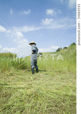 Weeding image, weeding image 54069591