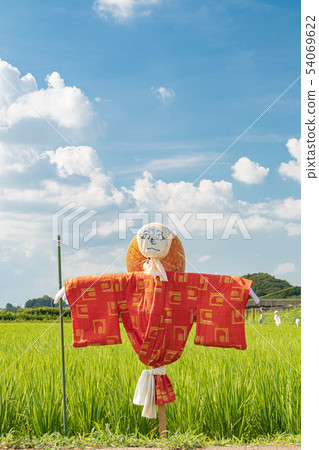 Plananko of Minuma rice field of Saitama-shi Minuma 54069622