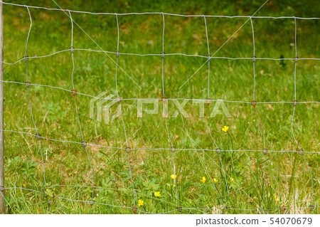 Closeup of metal fence made of thread Closeup of metal fence made of thread 54070679