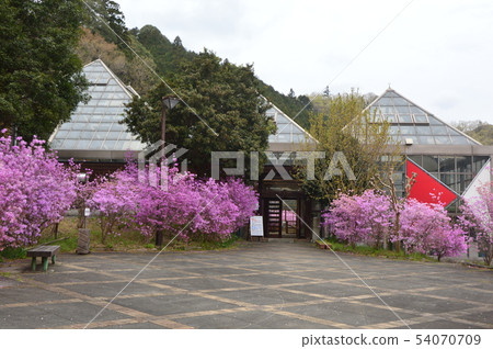 Spring in the village of the evening sun and small village is like this Hachioji city Spring in the village of the evening sun and small village is like this Hachioji city 54070709