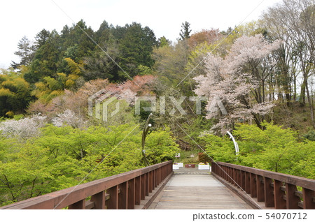 Spring in the village of the evening sun and small village is like this Hachioji city 54070712