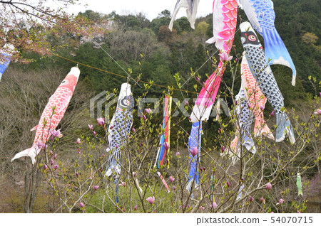 Spring in the village of the evening sun and small village is like this Hachioji city Spring in the village of the evening sun and small village is like this Hachioji city 54070715