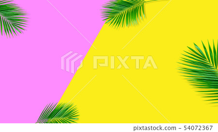 Summer composition. Tropical palm leaves on yellow Summer composition. Tropical palm leaves on yellow 54072367