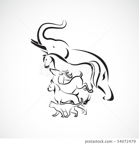 Vector group of animal design. 54072479
