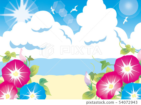 牽牛花和仲夏海 牽牛花和仲夏海 54072943