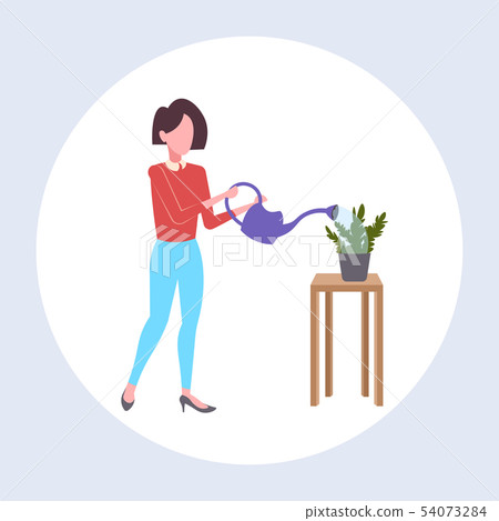 housewife pouring water in domestic potted plant woman holding watering can doing housework concept housewife pouring water in domestic potted plant woman holding watering can doing housework concept 54073284
