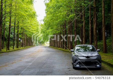 Silver car and avenue Silver car and avenue 54076318