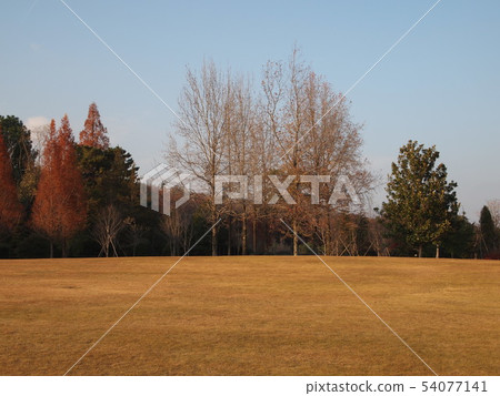 Late fall _005 54077141