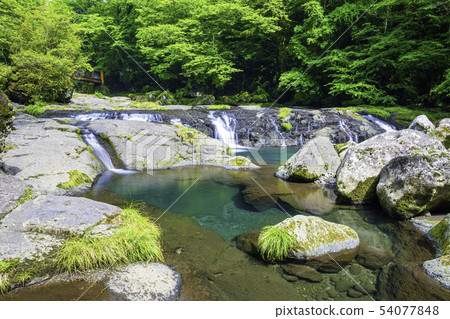 Beautiful green Kikuchi valley 54077848