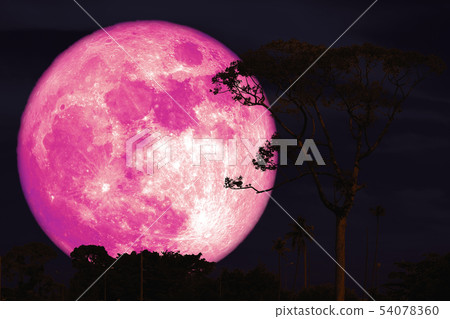 buck pink moon on night red sky back silhouette buck pink moon on night red sky back silhouette 54078360