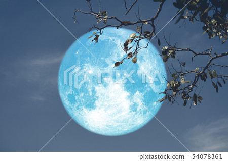 buck blue moon on night red sky back silhouette 54078361