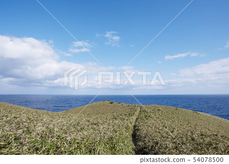 Amami Oshima Miyakozaki東海奄美的風景區 54078500