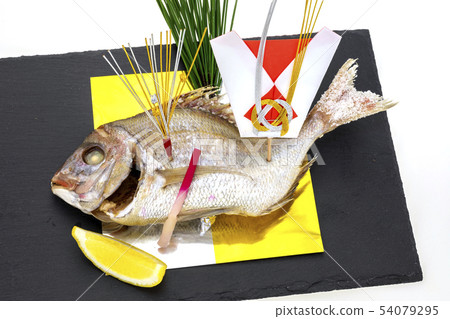 Celebration Snapper Celebration Snapper 54079295