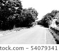 downhill 54079341