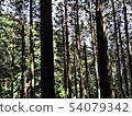 Mountain scenery 54079342