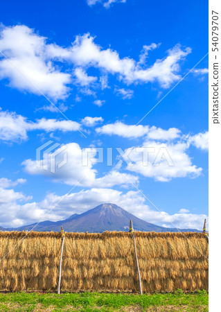 Inari rice fields Daisen rural scenery October 54079707