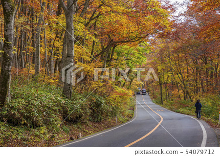 Autumn leaves of Oyama ring road Autumn leaves of Oyama ring road 54079712