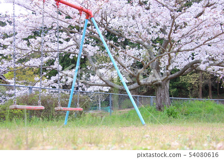 櫻花公園春天鞦韆 54080616