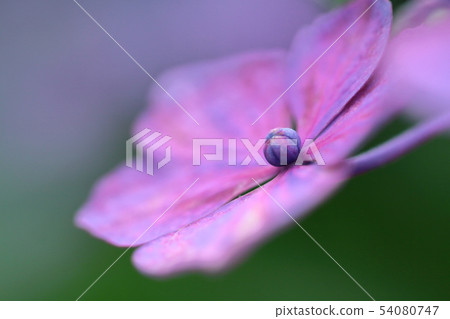 It gets wet when it rains 54080747