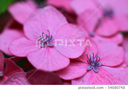 下雨時它會變濕 54080748