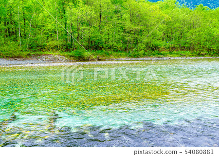 Kamikochi, fresh green Kamikochi, fresh green 54080881