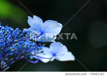 It gets wet when it rains 54081187