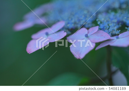 It gets wet when it rains 54081189